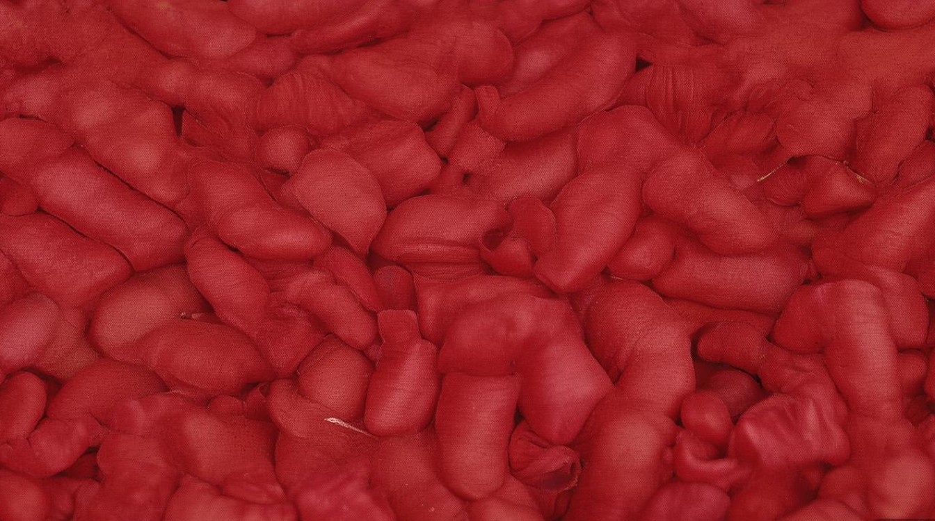 蚌埠市有哪些值得一游的旅游景点?