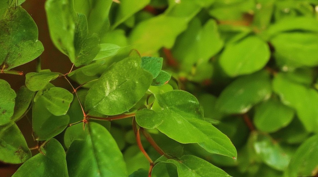 滕家村隐藏哪些独特旅游景点，值得一游？揭秘古村魅力！