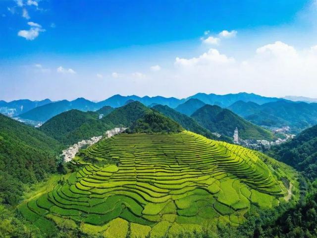 金岭旅游景点在哪里呀多少钱