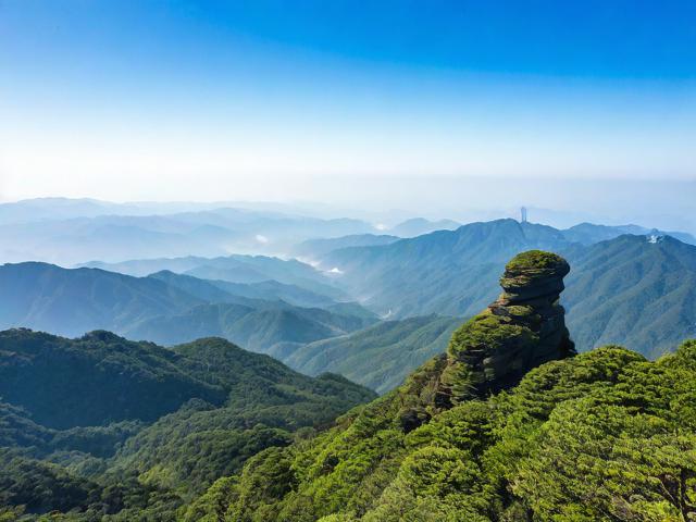 蒙顶山攻略，蒙顶山攻略，如何玩转这座茶文化圣地？