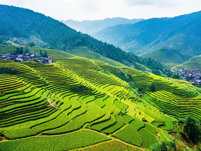 碧色寨的旅游景点在哪里