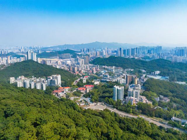 陶山旅游景点在哪里呀多少钱