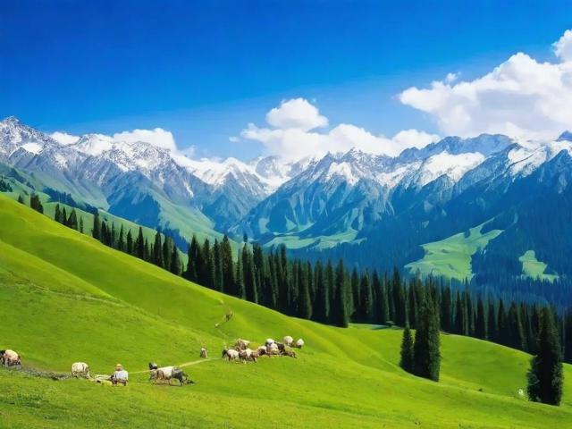 新疆的五A级旅游景点都有哪里啊?怎么收费呢?
