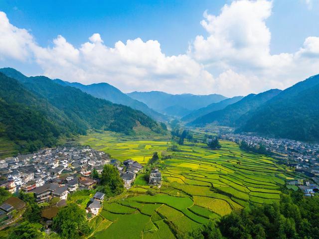 四川雅安旅游攻略,有哪些必去景点和美食推荐?