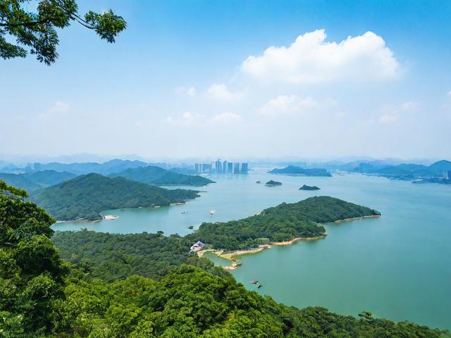 鼎湖山景区旅游攻略,有哪些不可错过的景点和体验?