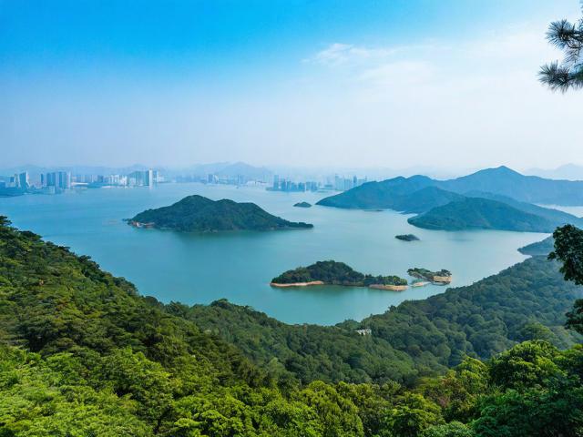 鼎湖山景区旅游攻略,有哪些不可错过的景点和体验?