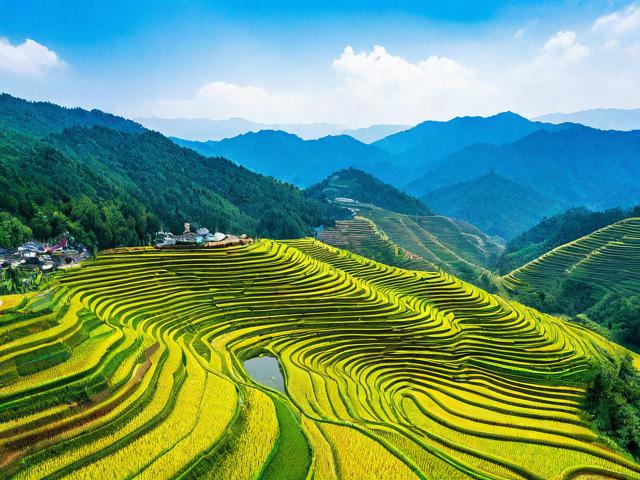 金阳有哪些不可错过的必游景点?