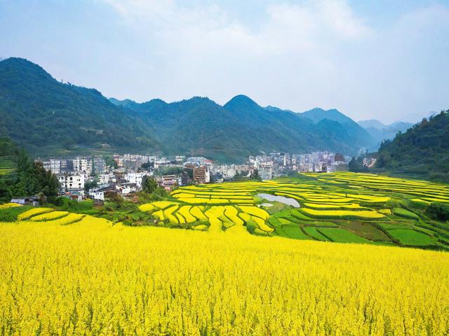 三穗县哪里旅游景点有花