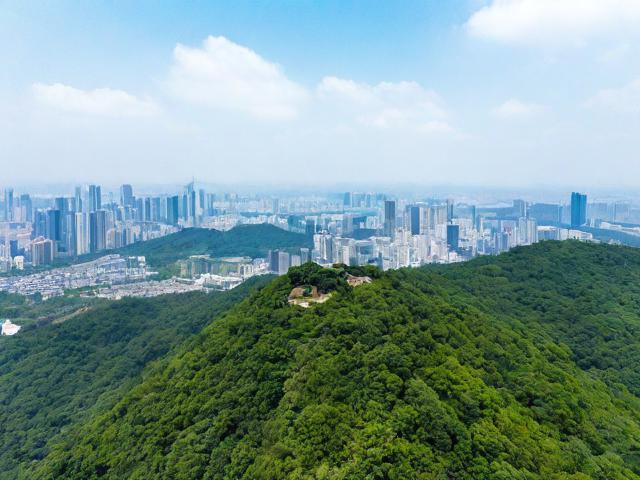钟山风景区攻略