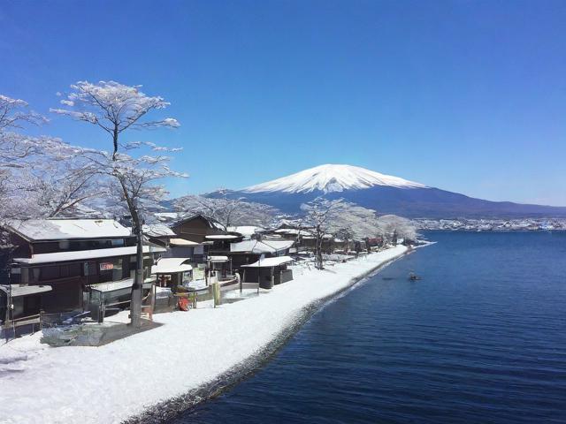 北海道自由行怎样规划?必去景点与实用贴士全攻略