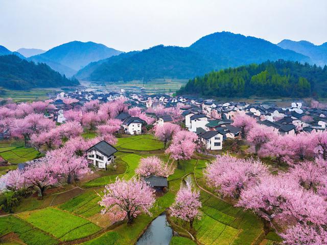 郎如桃花村旅游景点在哪里