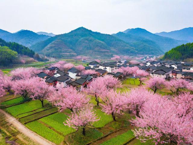 郎如桃花村旅游景点在哪里