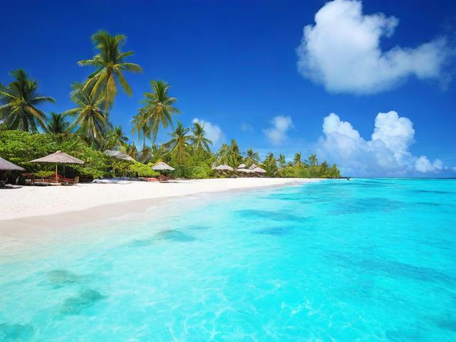 斐济旅游攻略能助您轻松规划行程,但是否涵盖所有必去景点与美食推荐?