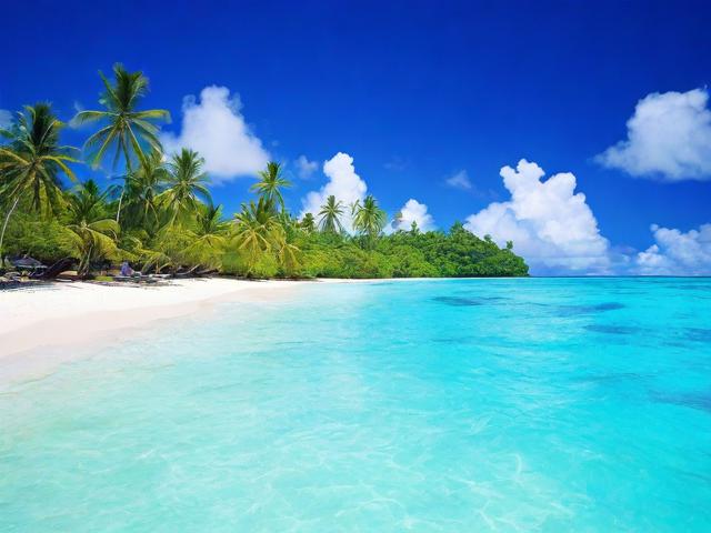 斐济旅游攻略能助您轻松规划行程,但是否涵盖所有必去景点与美食推荐?