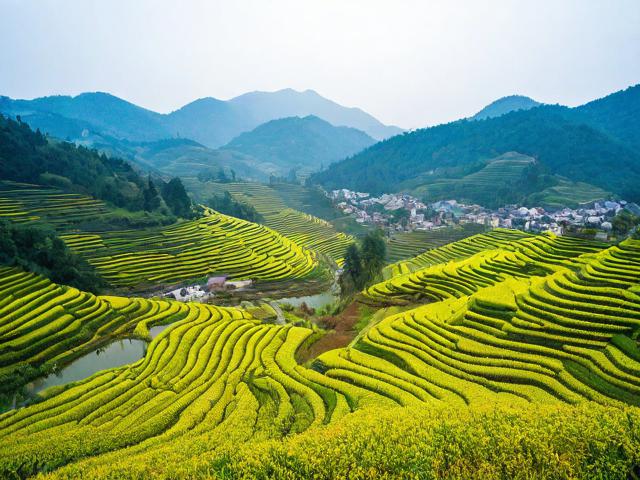 十里香旅游景点在哪里