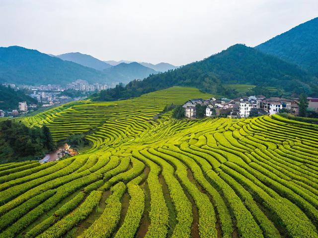 十里香旅游景点在哪里