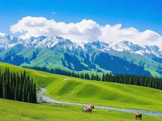 新疆有几个5a旅游景点在哪里