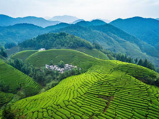 茶陵旅游攻略,探寻哪些不可错过的美景与美食?