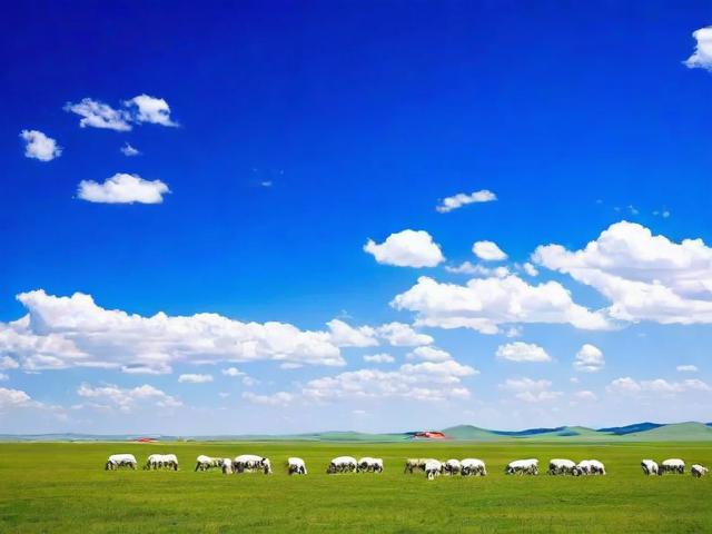 鄂尔多斯旅游攻略,如何规划一次完美的旅行体验?