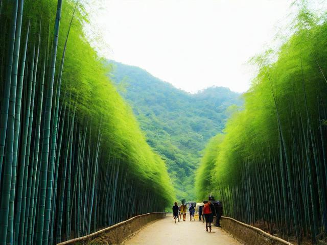 南山竹海游玩攻略,南山竹海游玩攻略,如何充分体验这片绿色仙境?