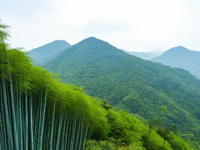 南山竹海游玩攻略,南山竹海游玩攻略,如何充分体验这片绿色仙境?