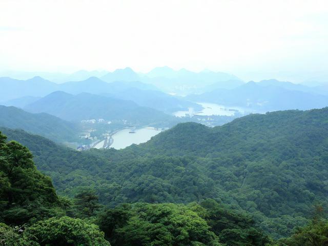 青城山游玩有哪些必去景点和实用攻略?