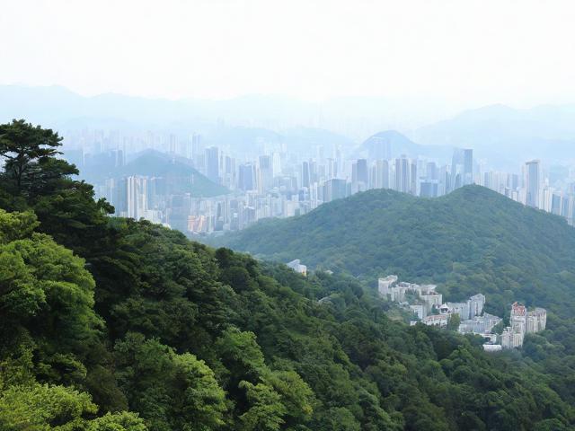 珞珈山攻略,探索这座神秘山峰,你准备好了吗?