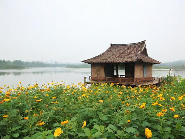 梁子湖东篱老屋游玩攻略全揭秘,你知道有哪些特色体验吗?