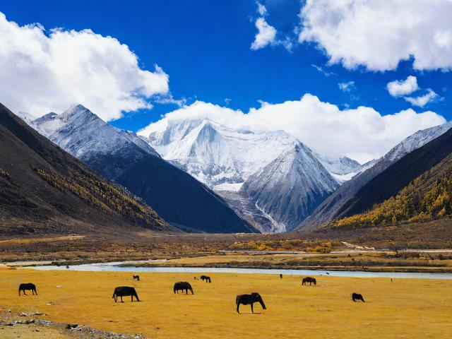 理塘旅游攻略，理塘旅游攻略，探索高原明珠，你准备好了吗？