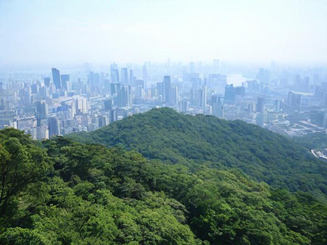 上海天马山游玩攻略,有哪些必去景点和美食推荐?
