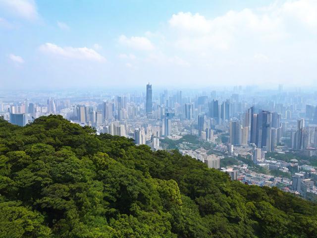 上海天马山游玩攻略,有哪些必去景点和美食推荐?