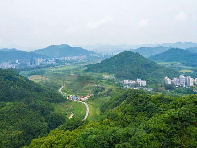 大足一日游攻略,如何玩转这座历史与文化交融的城市?