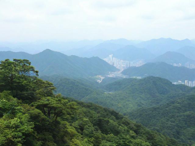 探索青城山后山秘境,这份攻略你怎能错过?
