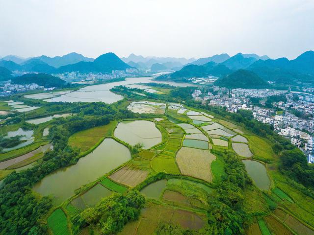 大埔旅游攻略