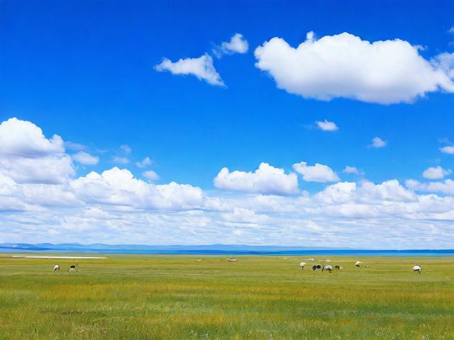 海北旅游攻略,探索海北,一篇全面的旅游攻略能带给你哪些独特体验?