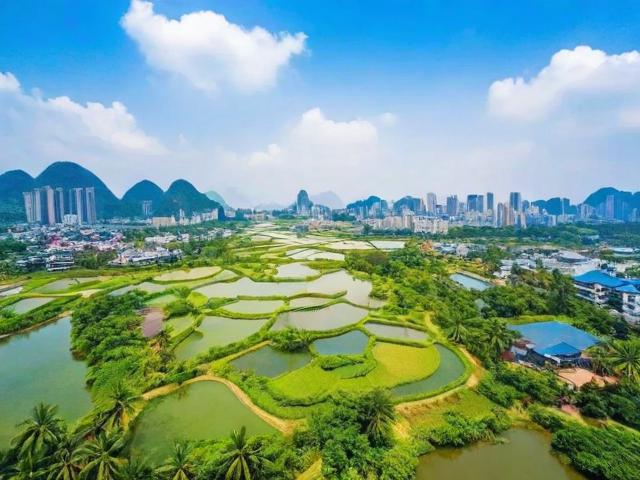 南宁明仕田园旅游攻略,有哪些必玩景点和美食推荐?