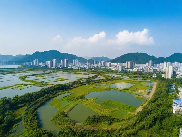 大埔 旅游攻略,如何规划一次完美的大埔之旅?大埔旅游攻略大揭秘!