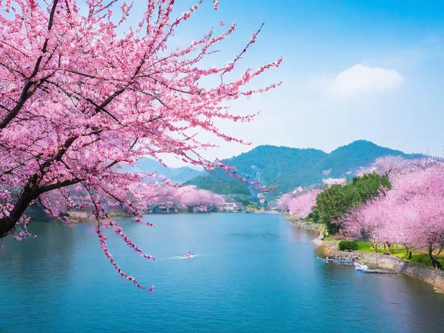 梅州一日自助游攻略,如何高效规划行程?