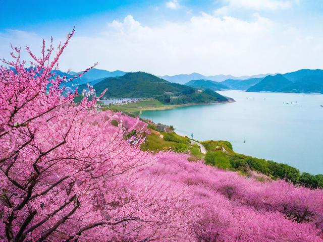 梅州一日自助游攻略,如何高效规划行程?