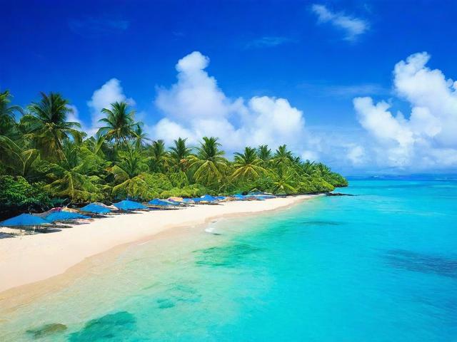 海南春节旅游攻略,如何在海南度过一个难忘的春节?