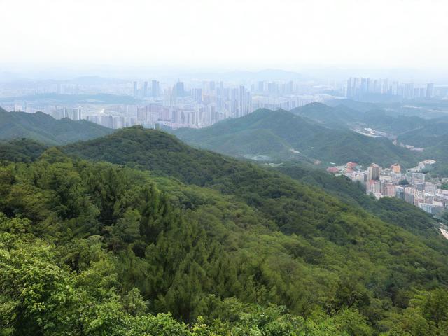 西山森林公园游玩攻略,有哪些必去景点和注意事项?