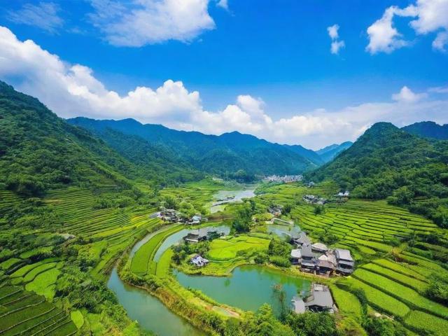 金泽旅游攻略,有哪些不容错过的景点和美食?