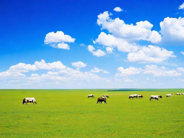 大草原是什么旅游景点在哪里呀