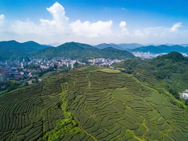普洱市旅游景点排名前几位的有哪些?