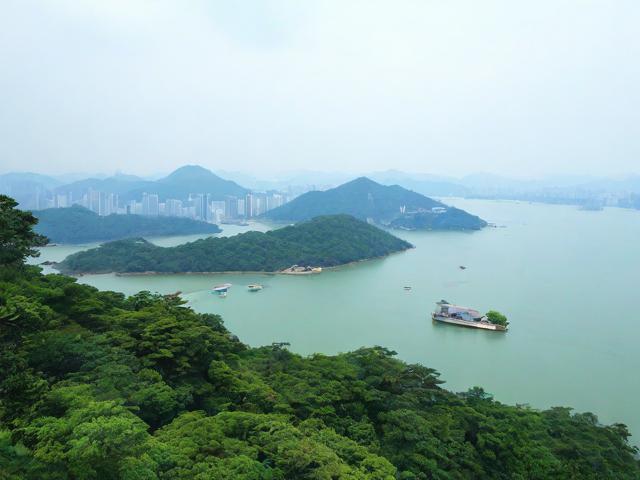 鼎湖山旅游攻略,如何规划一次完美的鼎湖山之旅?