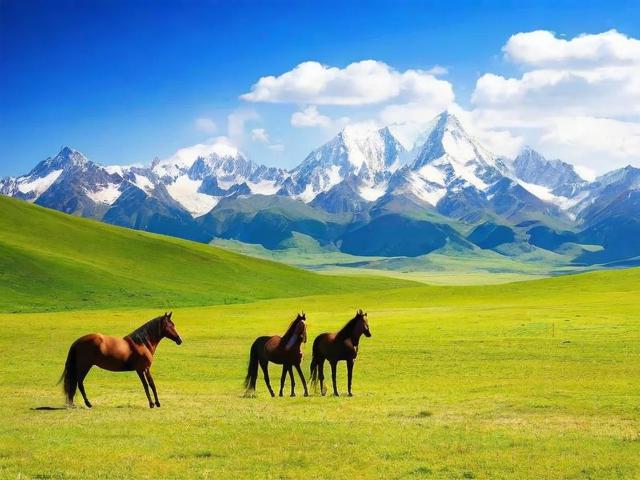 新马旅游攻略,如何规划一次完美的新加坡和马来西亚之旅?