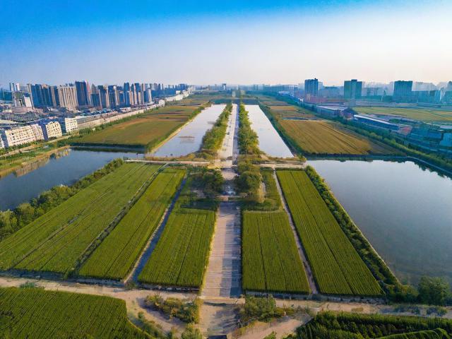 杨凌旅游攻略,探索杨凌,一份详尽的旅游攻略能带你发现哪些独特魅力?