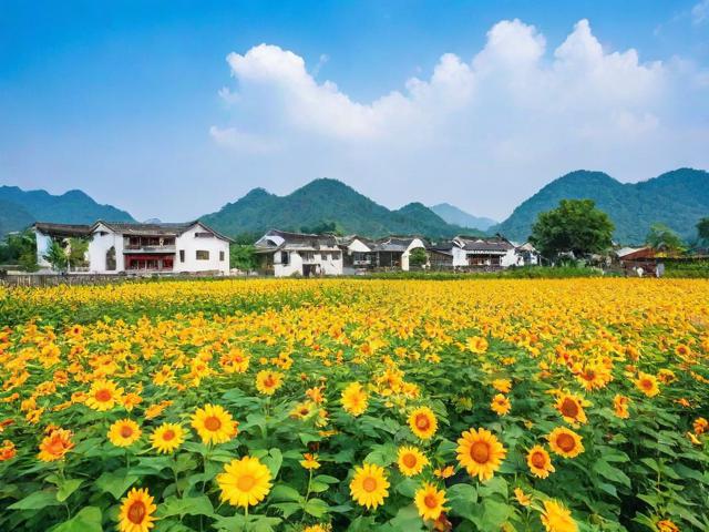 武义花田小镇旅游攻略,有哪些必玩景点和美食推荐?
