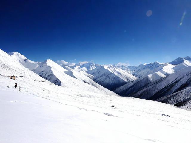 雪域卡盟QQ是什么?