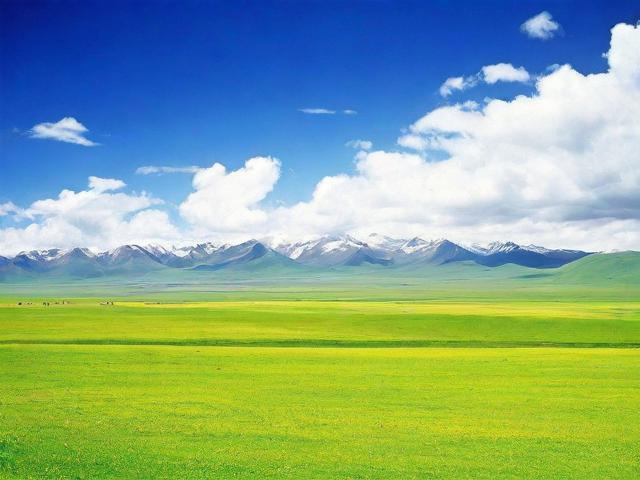 旅图攻略能带来哪些独特旅行体验?